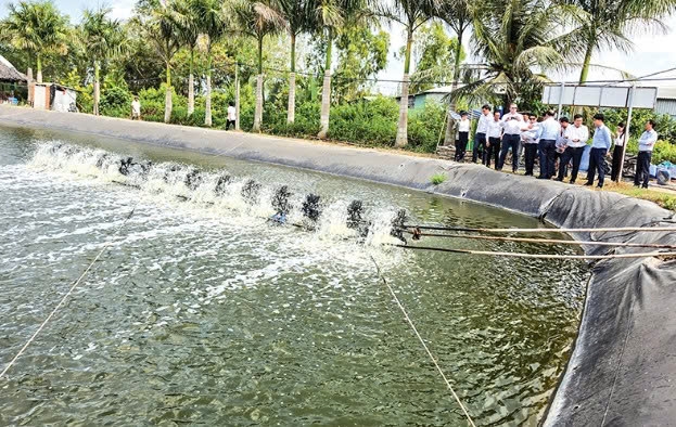 Cần Thơ: Tiềm năng phát triển nuôi thủy sản