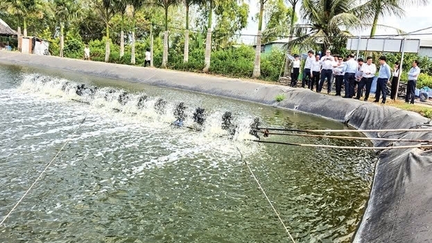 Cần Thơ: Tiềm năng phát triển nuôi thủy sản
