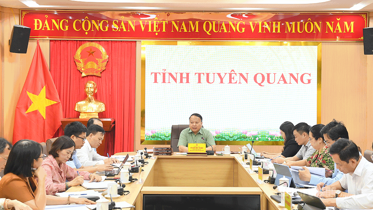 Tuyên Quang: Đào tạo nguồn nhân lực đáp ứng yêu cầu phát triển của tỉnh trong giai đoạn mới