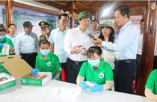Cần Thơ: Bí thư Thành ủy Lê Quang Tùng khảo sát thực tế tại xã Cù Lao Dung