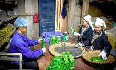 Tuyên Quang: Bước chuyển xây dựng hệ sinh thái bền vững