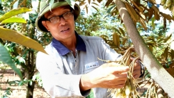 Lâm Đồng: Xây dựng đời sống văn hóa từ mỗi nếp nhà