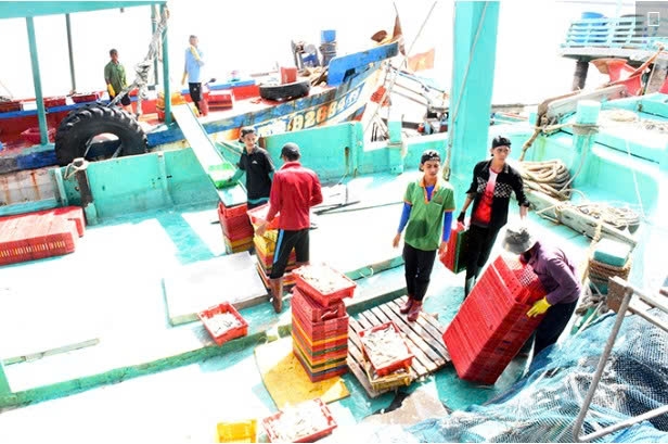 Cần Thơ: Đoàn công tác của Bộ Nông nghiệp và Môi trường khảo sát Cảng cá Trần Đề