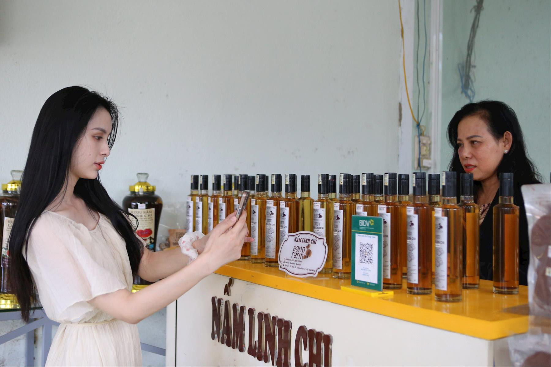Lâm Đồng khởi động “cuộc đua xanh” cho tương lai số