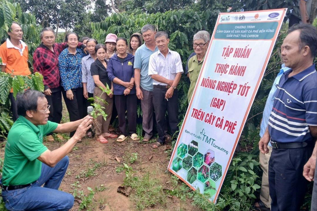 Lâm Đồng: Canh tác cà phê bền vững để giữ thị trường EU