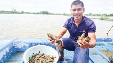 Cần Thơ: Nỗ lực thúc đẩy xuất khẩu nông, lâm, thủy sản