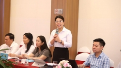 Tuyên Quang: Nâng tầm giá trị Di sản chè Shan tuyết cổ thụ gắn với sinh kế bền vững
