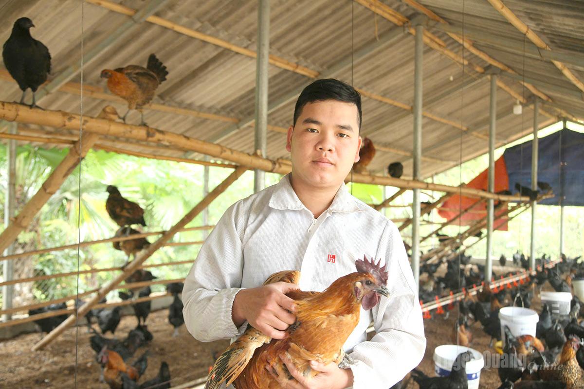 Tuyên Quang: “Vua gà đen” Tùng Bá