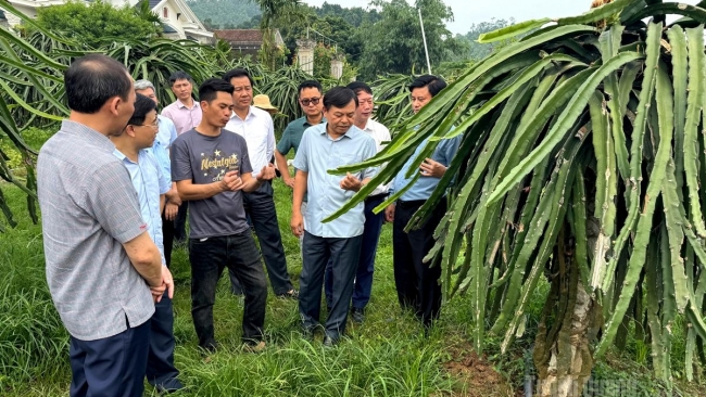 Tuyên Quang: Tập trung nguồn lực giảm nghèo bền vững cho vùng đồng bào dân tộc thiểu số