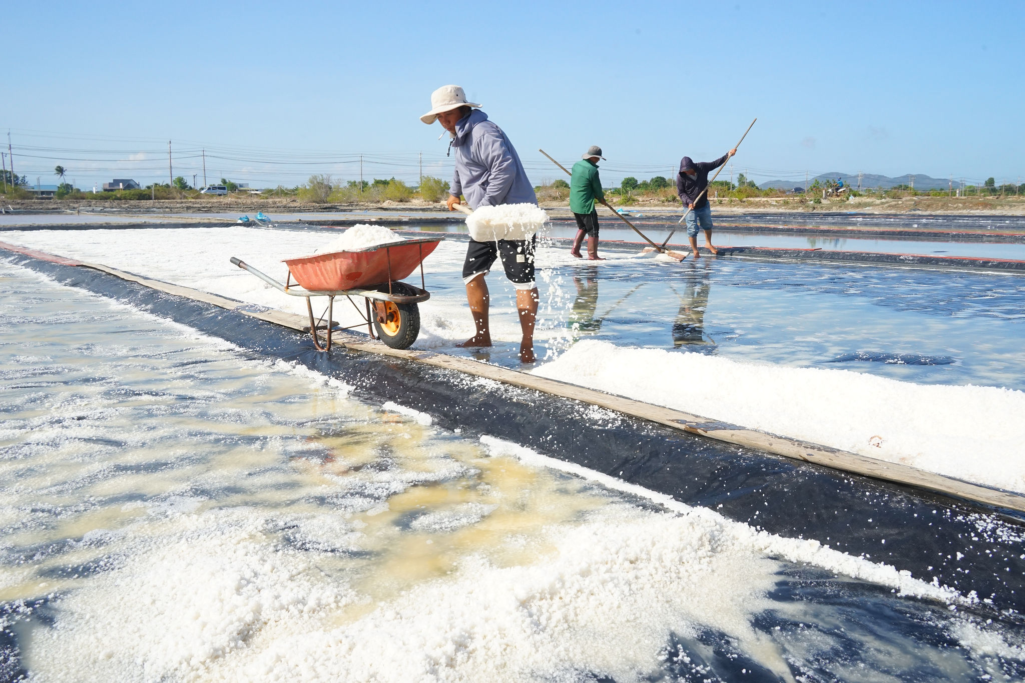 Hạt muối Lâm Đồng nâng giá trị nhờ đổi mới cách làm