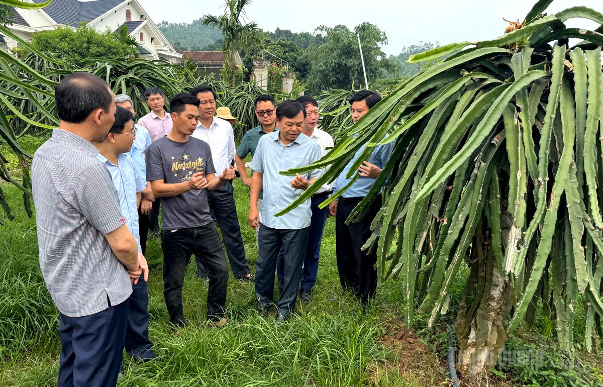 Tuyên Quang: Tập trung nguồn lực giảm nghèo bền vững cho vùng đồng bào dân tộc thiểu số