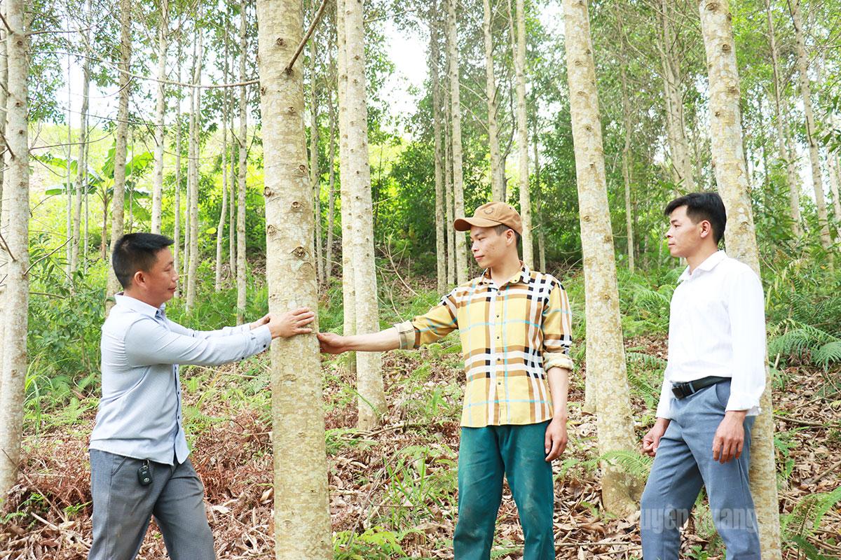 Tuyên Quang: Nêu gương làm kinh tế giỏi