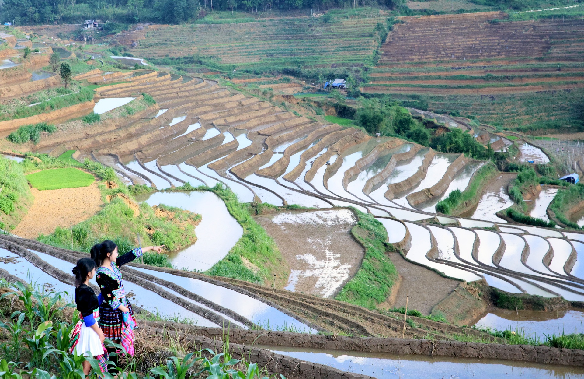 lai Châu: Tả Lèng mùa nước đổ