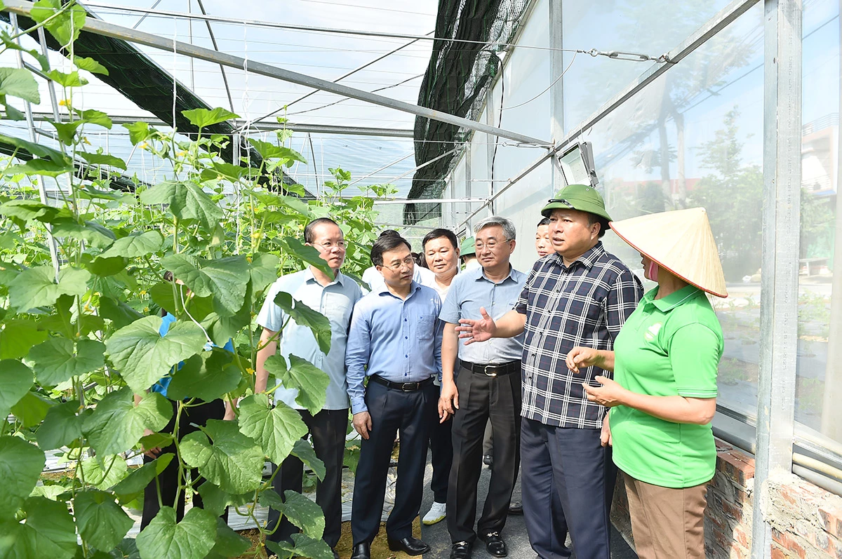 Tuyên Quang: Chủ tịch UBND tỉnh Phan Huy Ngọc thăm một số mô hình kinh tế hiệu quả trên địa bàn tỉnh