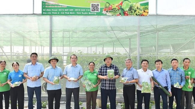 Tuyên Quang: Chủ tịch UBND tỉnh Phan Huy Ngọc thăm một số mô hình kinh tế hiệu quả trên địa bàn tỉnh