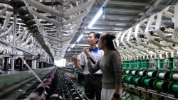 Lâm Đồng phát triển bền vững ngành dâu tằm tơ