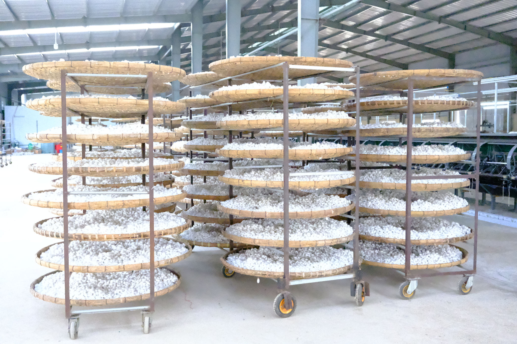 Lâm Đồng phát triển bền vững ngành dâu tằm tơ