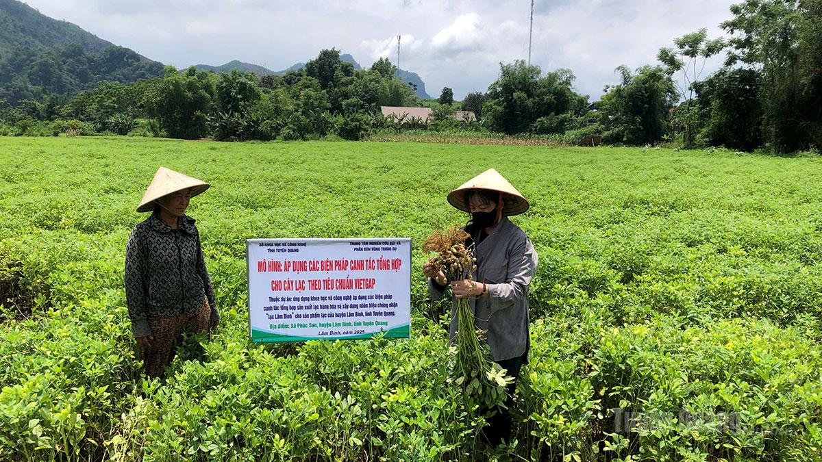 Tuyên Quang: Chìa khóa nâng cao năng suất và chất lượng Lạc Minh Quang