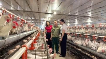 Tuyên Quang: Quan trắc môi trường chăn nuôi: Việc phải làm ngay