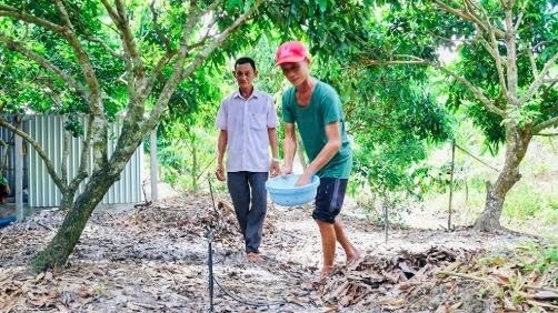 Cần Thơ: Nhạy bén đón đầu xu thế nông nghiệp sạch