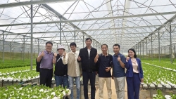 Lâm Đồng: Tham gia sâu hơn vào chuỗi giá trị nông sản toàn cầu