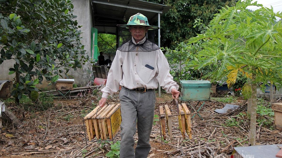 Tuyên Quang: Đổi mới tư duy, phát triển kinh tế bền vững