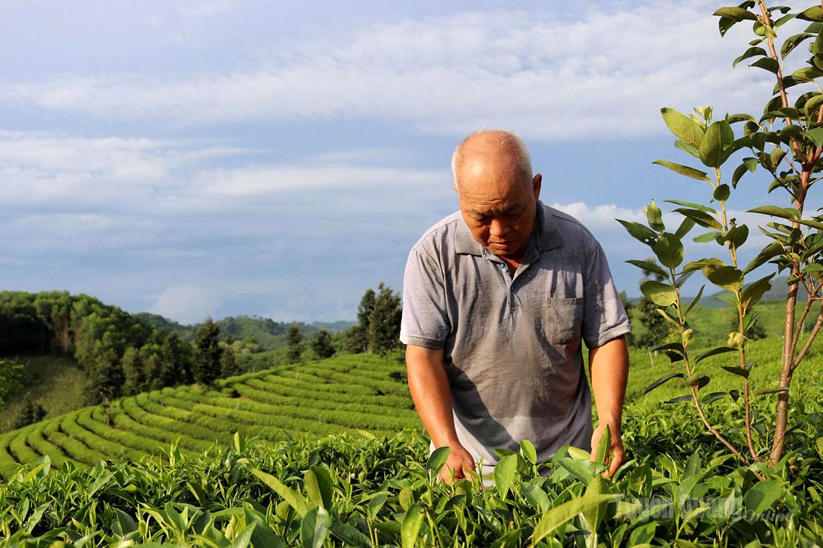 Tuyên Quang: Đổi mới tư duy, phát triển kinh tế bền vững Tuyên Quang: Đổi mới tư duy, phát triển kinh tế bền vững