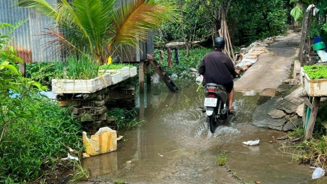 Cần Thơ: Sớm khắc phục tình trạng sạt lở ở quận Bình Thủy