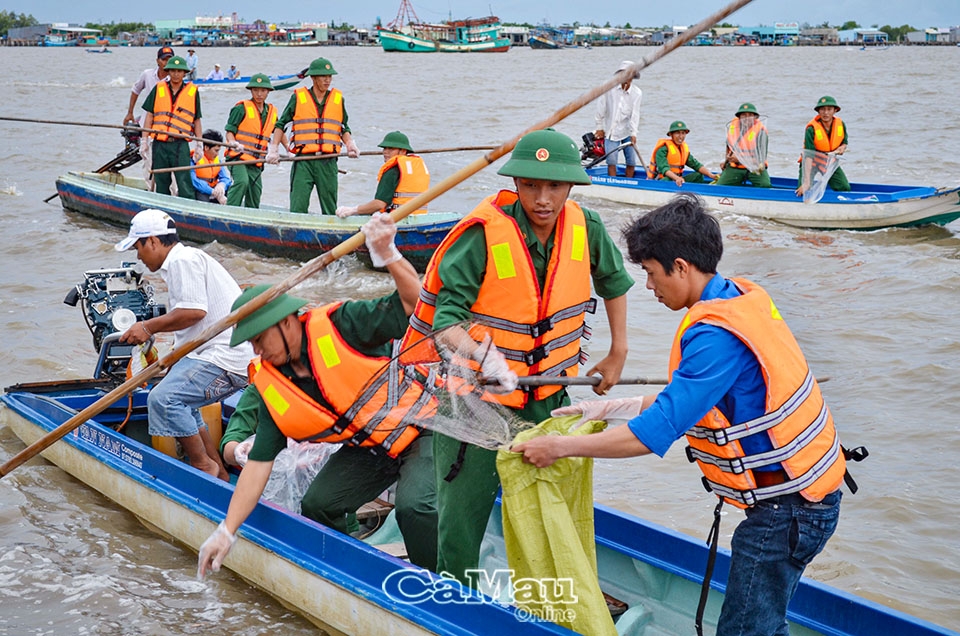 Cà Mau: Xung kích trên tuyến đầu