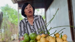 Cần Thơ: Thành lập tổ công tác đặc biệt tháo gỡ khó khăn, hỗ trợ doanh nghiệp, nhà đầu tư
