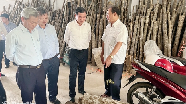 Đồng Nai ít doanh nghiệp khoa học - công nghệ