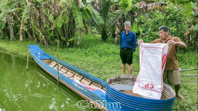 Cà Mau: Nông dân "bơi trong bão giá"