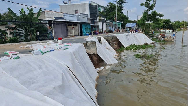 An Giang: Khẩn trương xử lý sạt lở ở xã Mỹ Khánh