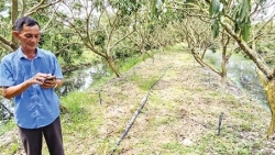 Cần Thơ: Khi nhà nông sử dụng nước tưới tiết kiệm, hiệu quả