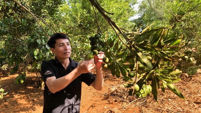 Lâm Đồng: Liên kết nông dân cho sản phẩm OCOP 5 sao