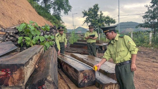 Khánh Hòa: Nỗ lực giữ rừng Ko Róa