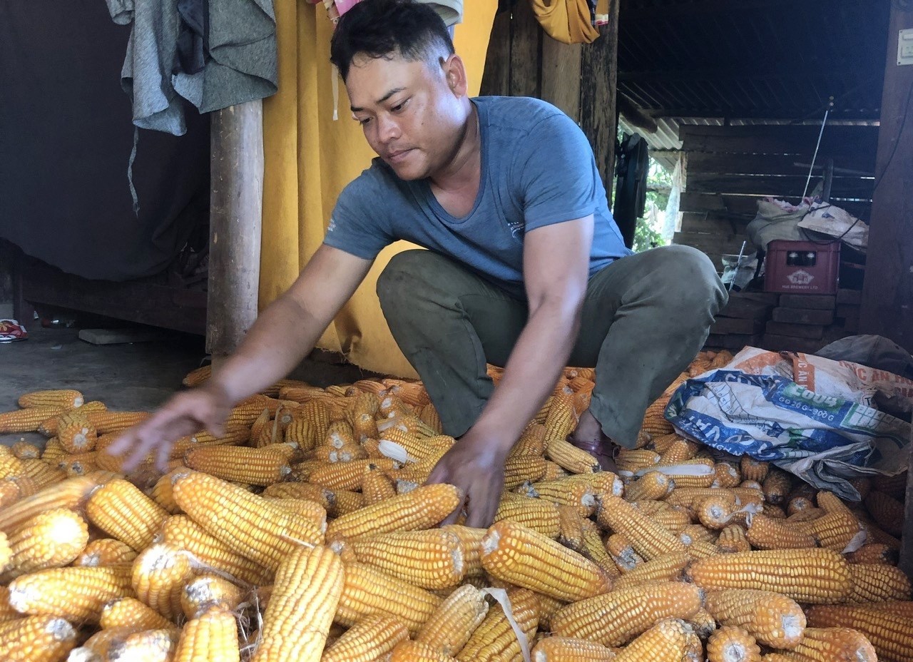 Trưởng thôn "hai giỏi" người Pa Cô