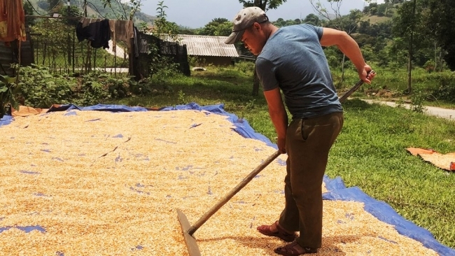 Trưởng thôn "hai giỏi" người Pa Cô