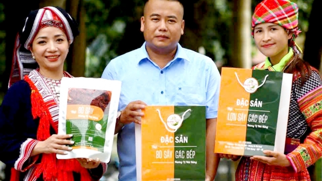 Hà Giang: Khát vọng làm nông nghiệp sạch của chàng trai dân tộc Tày