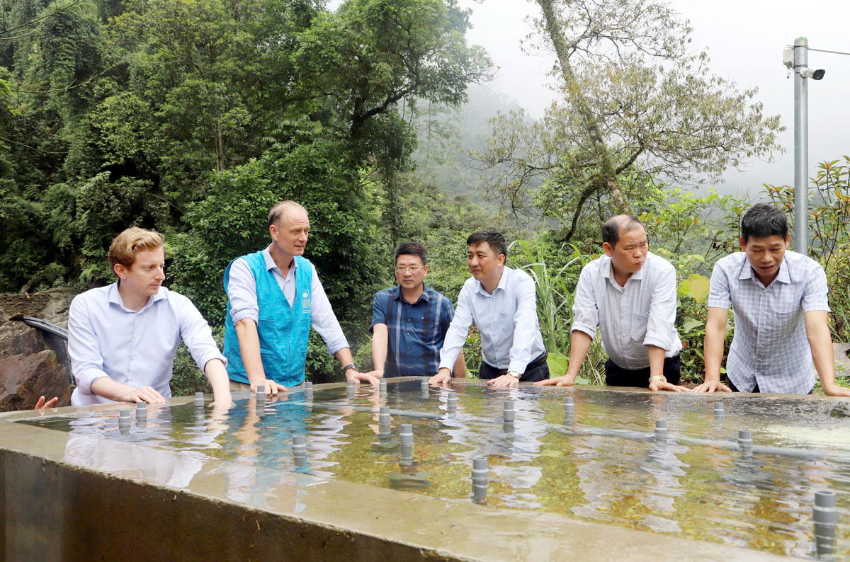 Hà Giang: Nậm An giữ rừng xanh, suối sạch nuôi cá Tầm