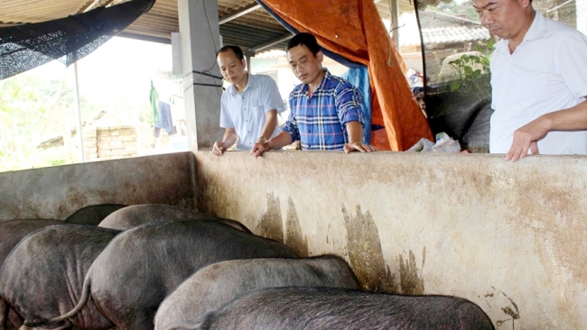 Hà Giang: Hoàng Su Phì phát huy nội lực giảm nghèo bền vững