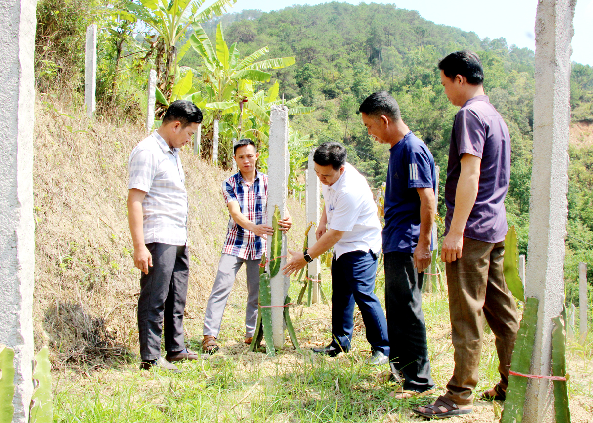 Hà Giang: Hoàng Su Phì phát huy nội lực giảm nghèo bền vững