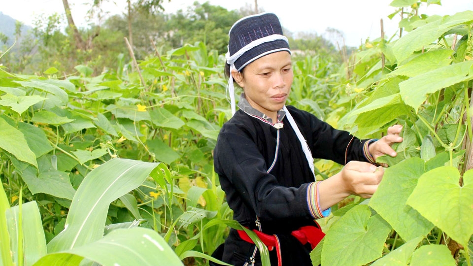 Hà Giang: Phụ nữ Bản Luốc chung tay xây dựng quê hương