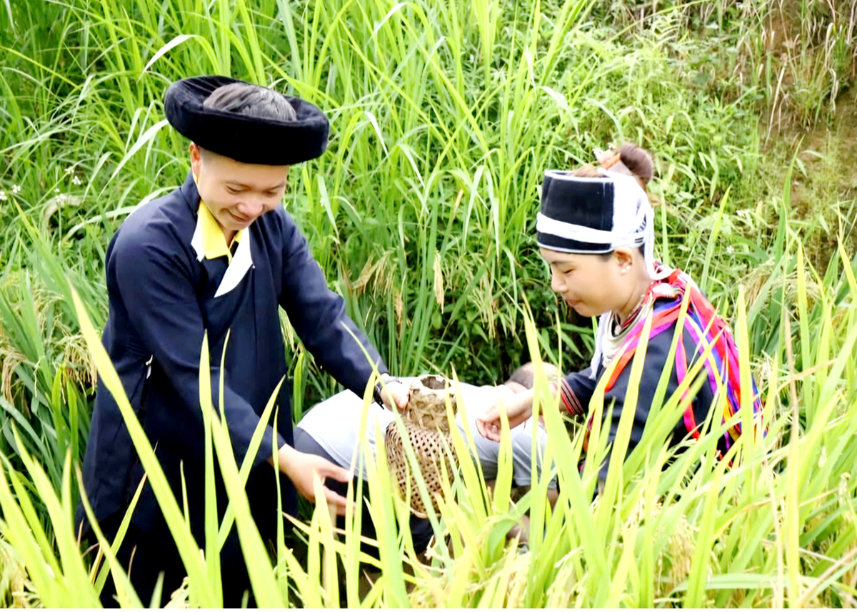 Hà Giang: Phụ nữ Bản Luốc chung tay xây dựng quê hương