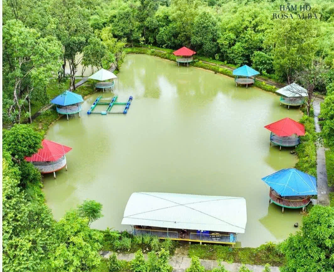 Hầm Hô - Viên ngọc xanh giữa lòng đất võ!