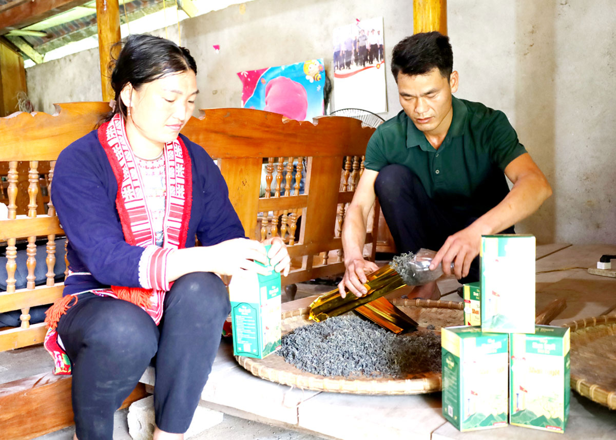 Hà Giang: Sao OCOP “sáng” trên vùng khó Đức Xuân