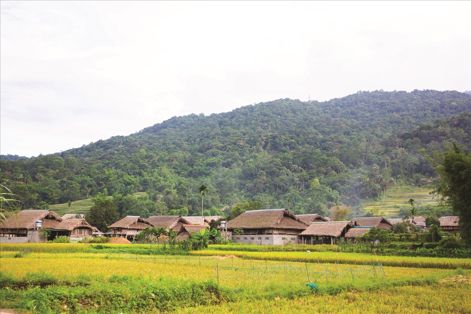 Những chuyến đi “tìm chữ” ở vùng cao