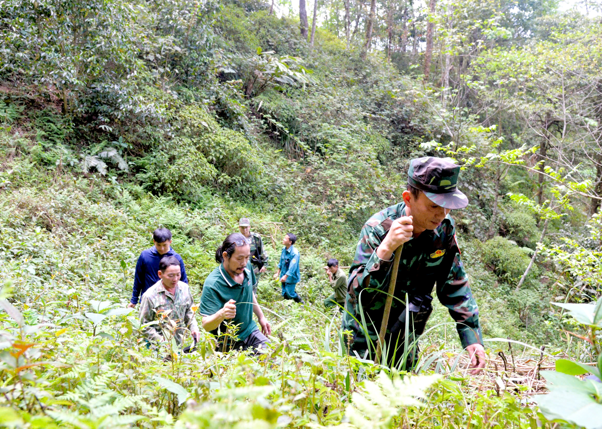 Hà Giang: Điểm sáng giữ rừng ở Lao Chải