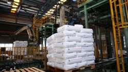 BSR thành lập Trung tâm Đổi mới sáng tạo, thúc đẩy bứt phá bằng khoa học công nghệ
