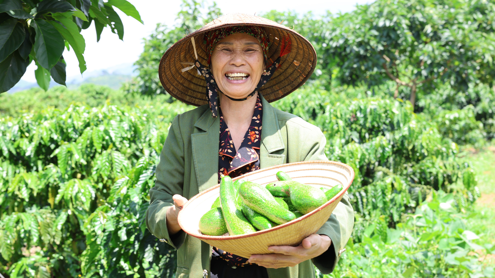 Lâm Đồng: Nông dân Đạ Đờn nâng tầm nông sản